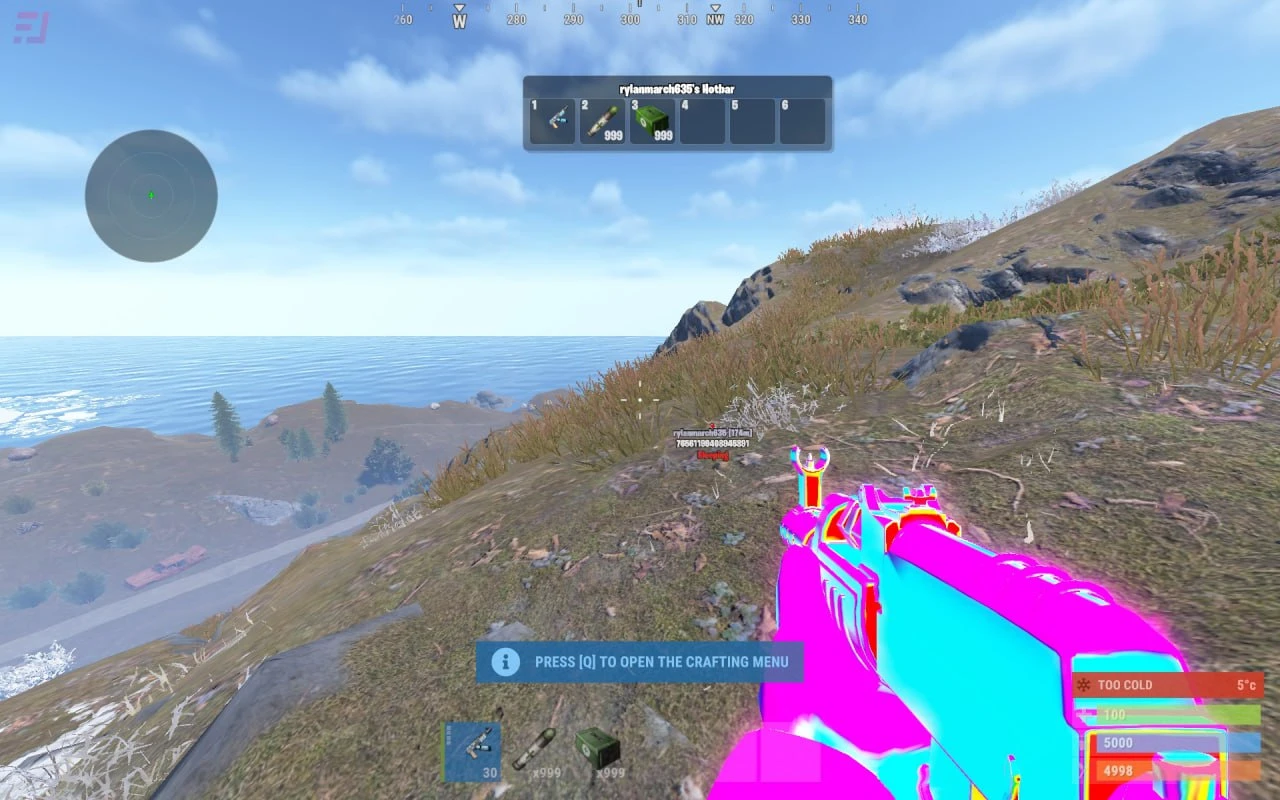 Rust Internal